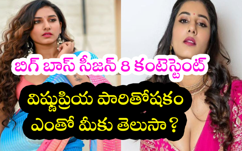 Big Boss Telugu Contestant విష్ణుప్రియ పారితోషకం ఎంతో మీకు తెలుసా?